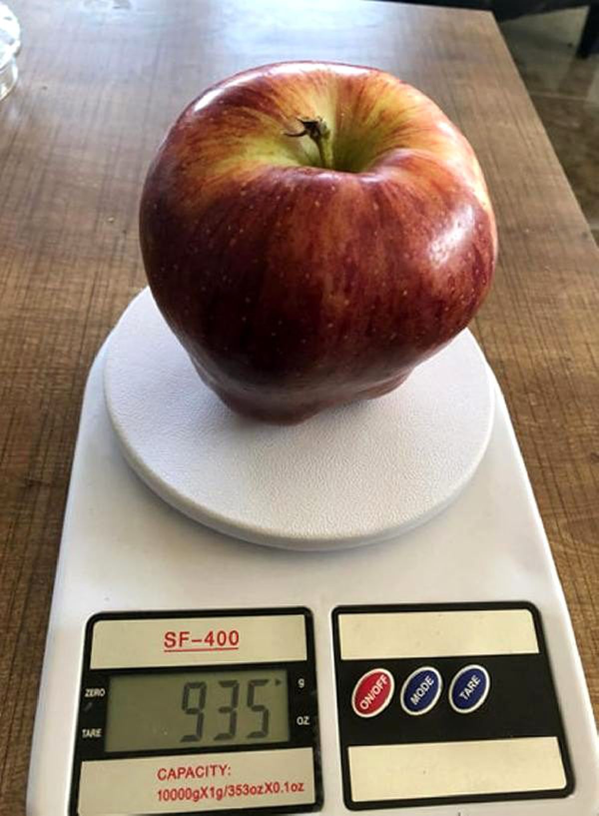 935 gramlık dev elma şaşırttı