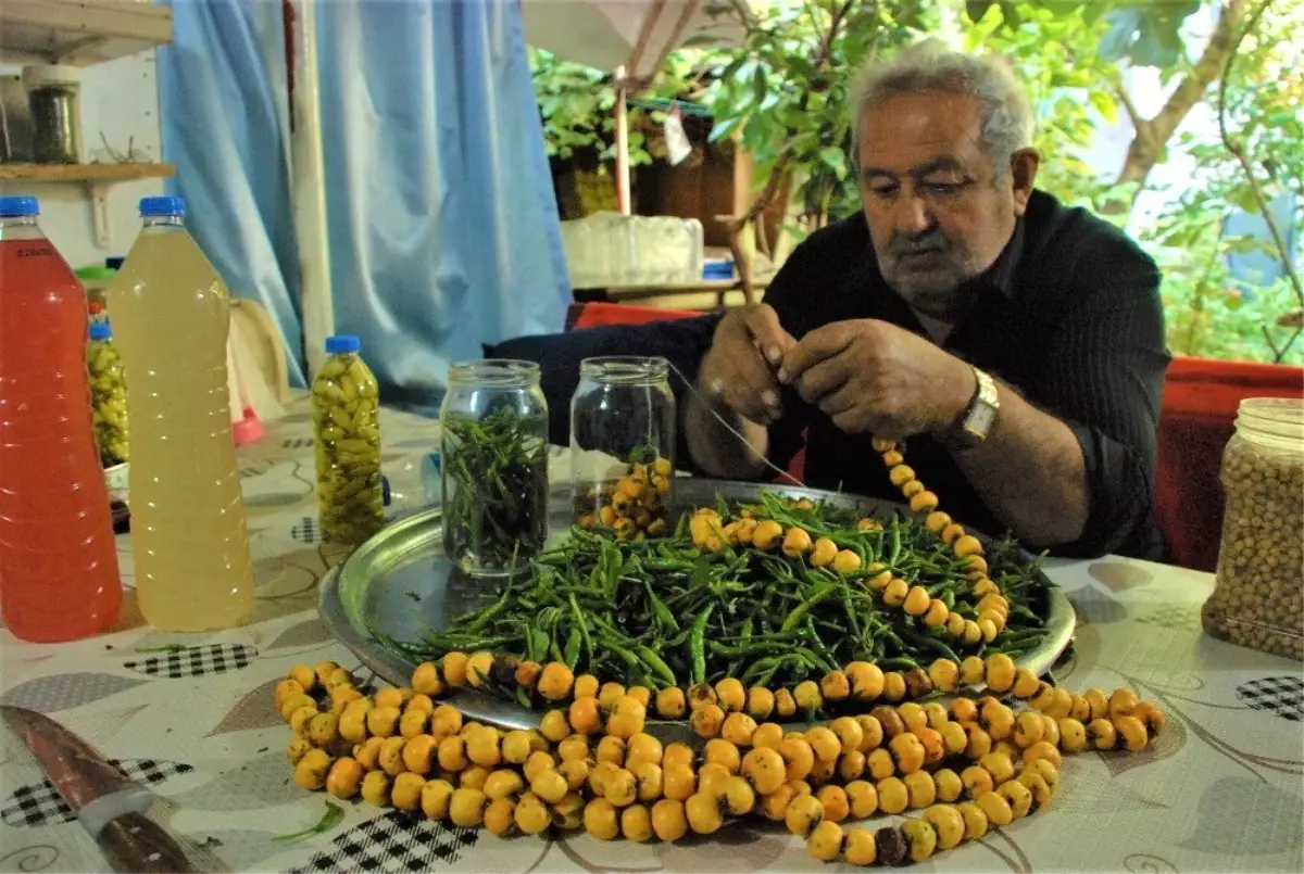 Alıçın da turşusunu kurdular