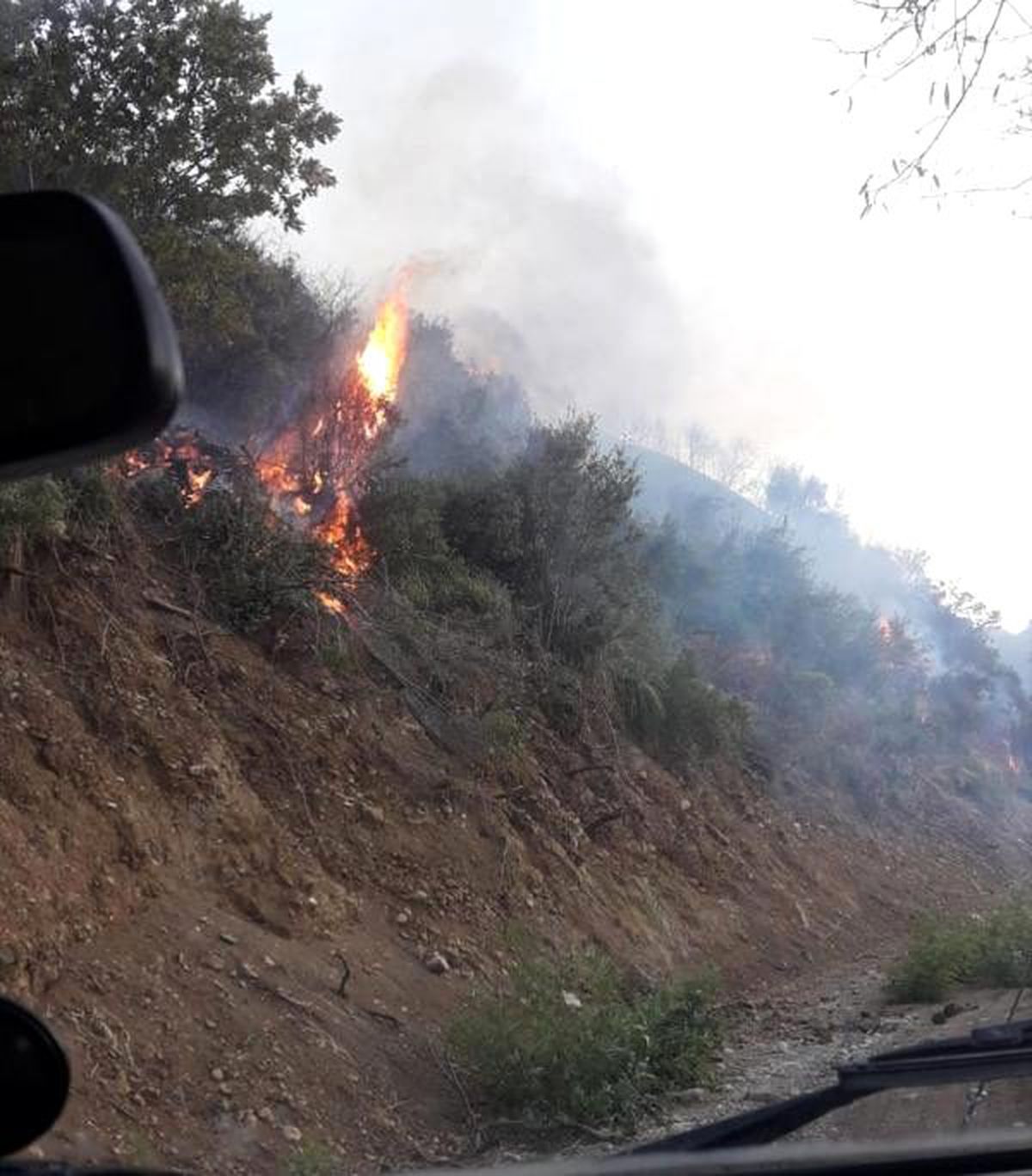 Datça\'da boş tarlada çıkan yangın korkuttu