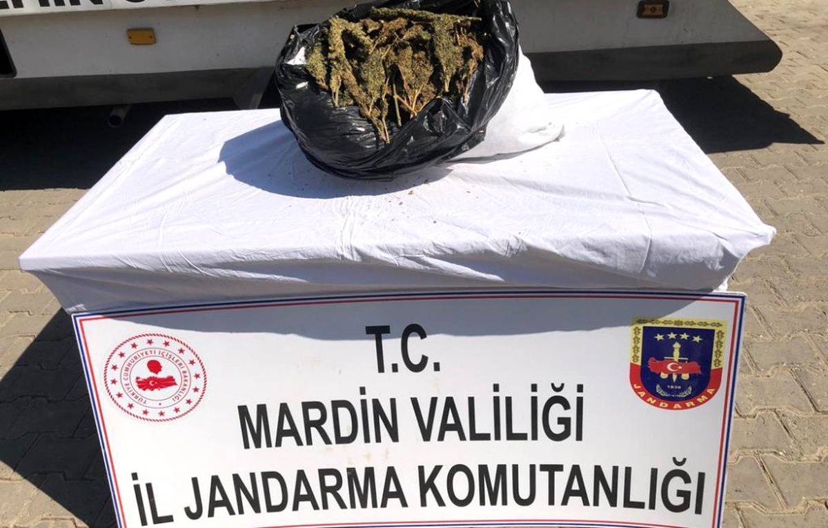 Jandarmadan zehir tacirlerine darbe: 6 gözaltı