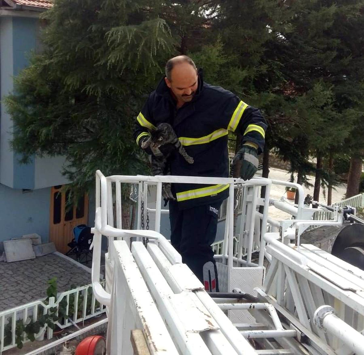 Manisa\'da görme engelli kediyi itfaiye kurtardı