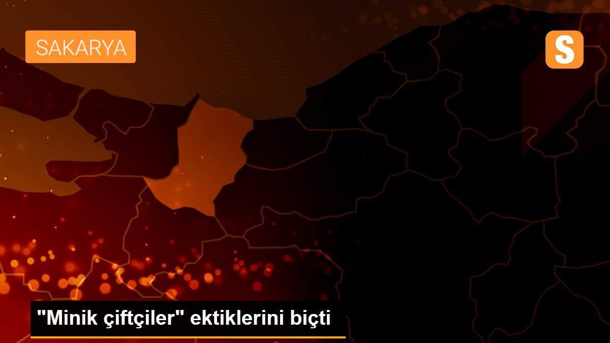 "Minik çiftçiler" ektiklerini biçti