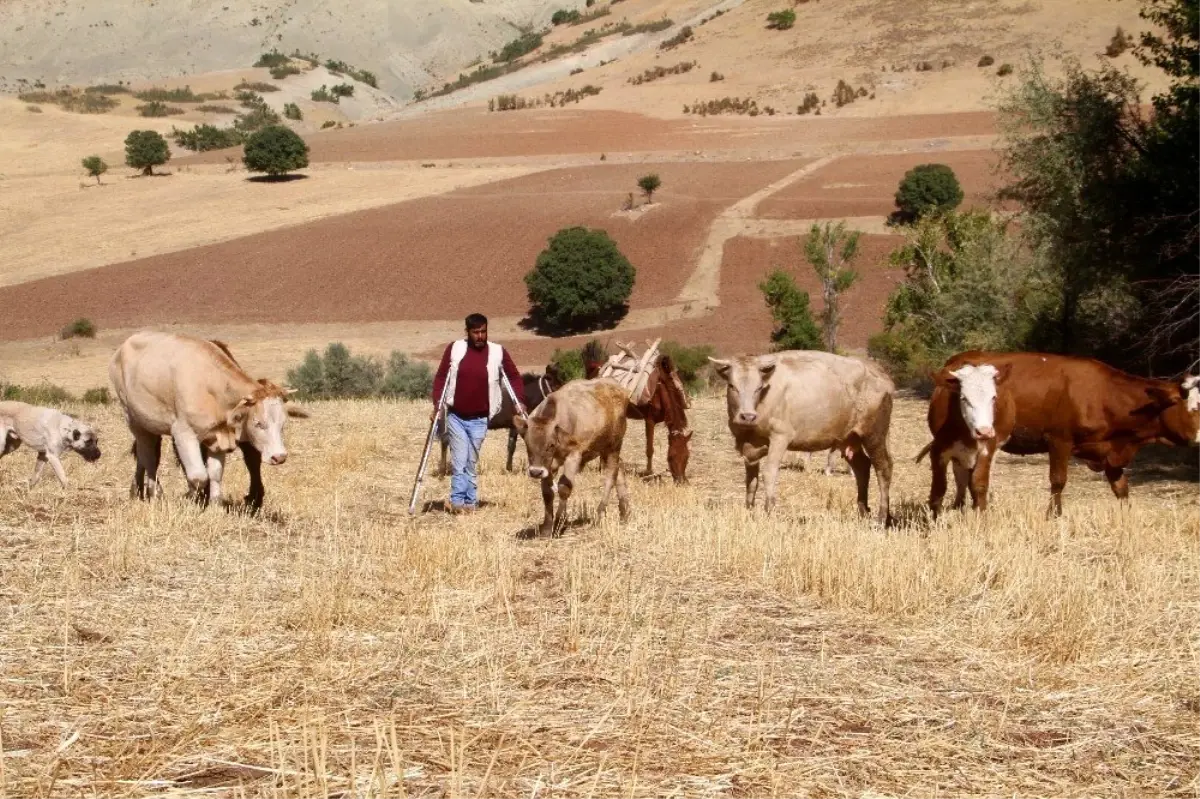 Örnek yaşam mücadelesi