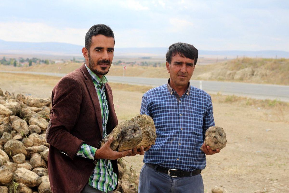 (ÖZEL) Üniversite mezunu genç çiftçi babasıyla tarım yapıyor