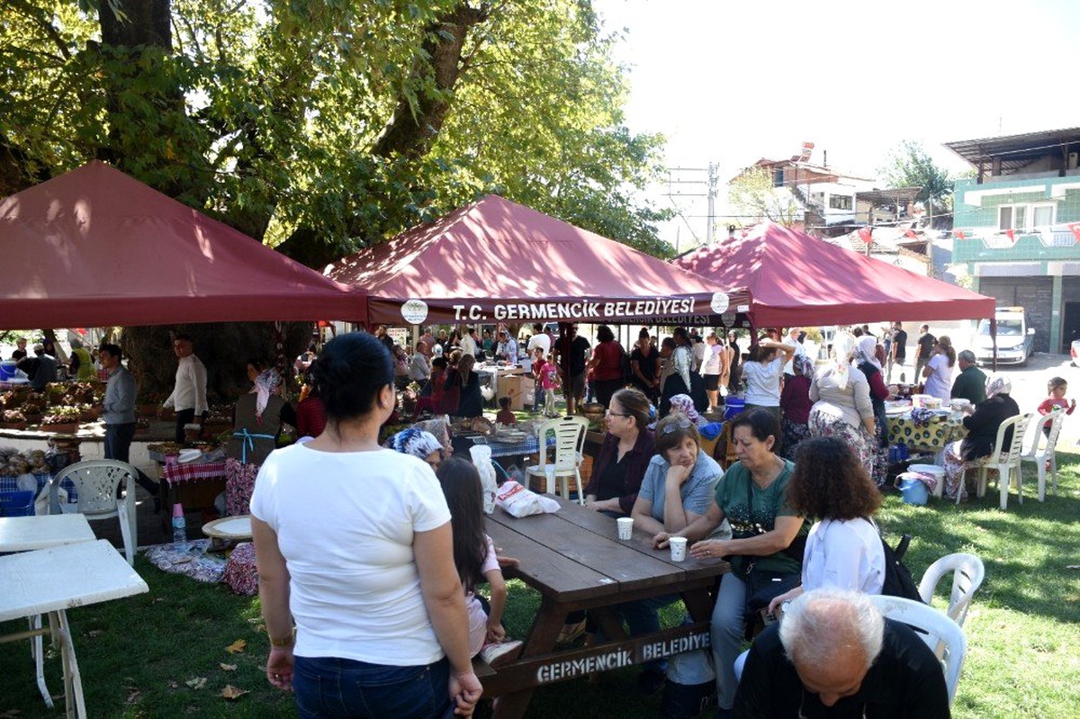 Selatin Köy Pazarı, 800 yıllık çınarın gölgesinde kuruluyor