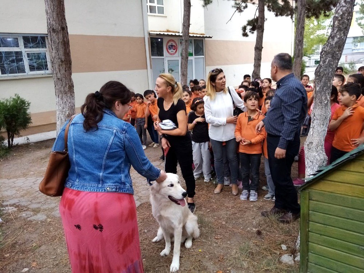 Sokak köpeği artık minik öğrencilere emanet