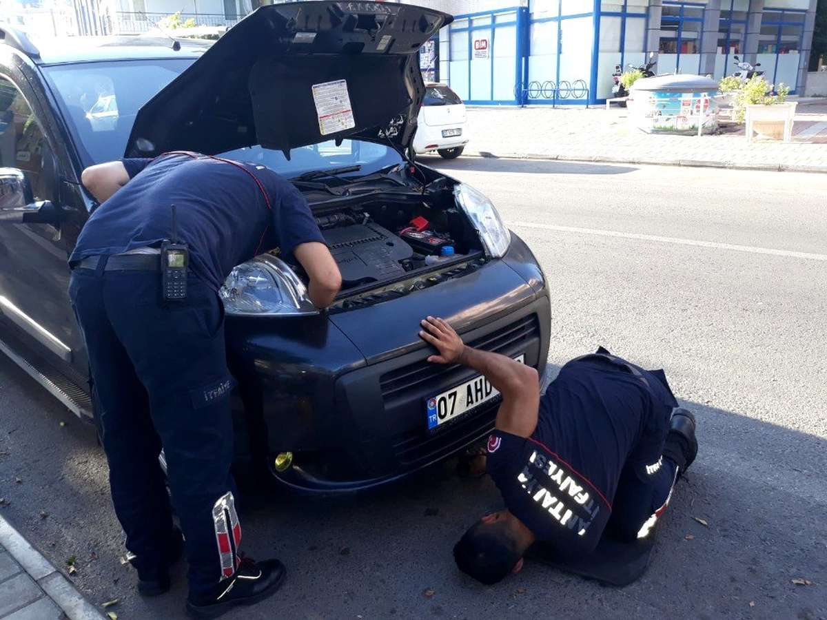 Alanya\'da aracın motor kısmına sıkışan yavru kedi kurtarıldı