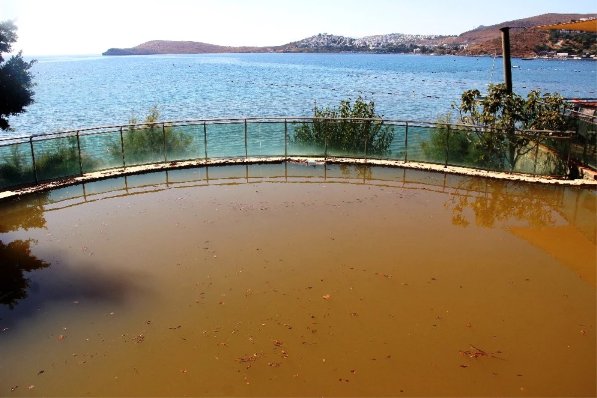 Bodrum\'da kabus gecesi; Su borusu bomba gibi patladı araç içine düştü, 5 yıldızlı oteli su bastı,...