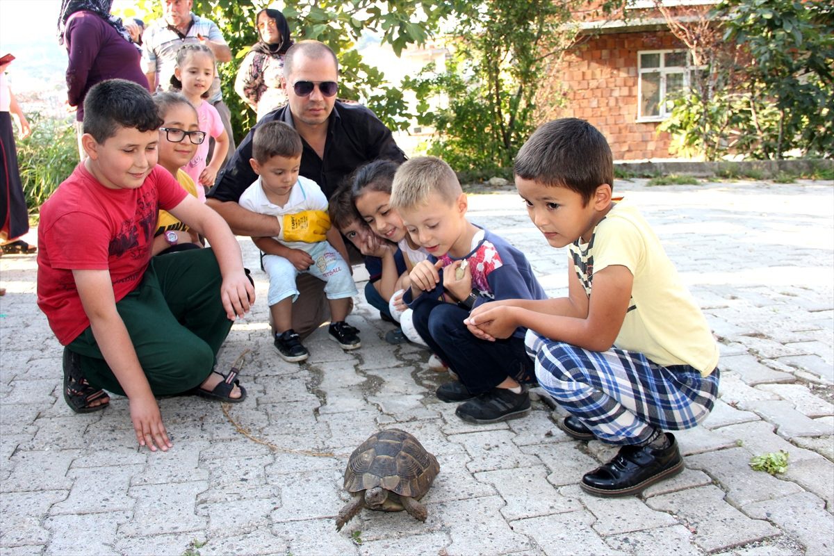 Çocukların bulduğu kara kaplumbağasını sahiplendi