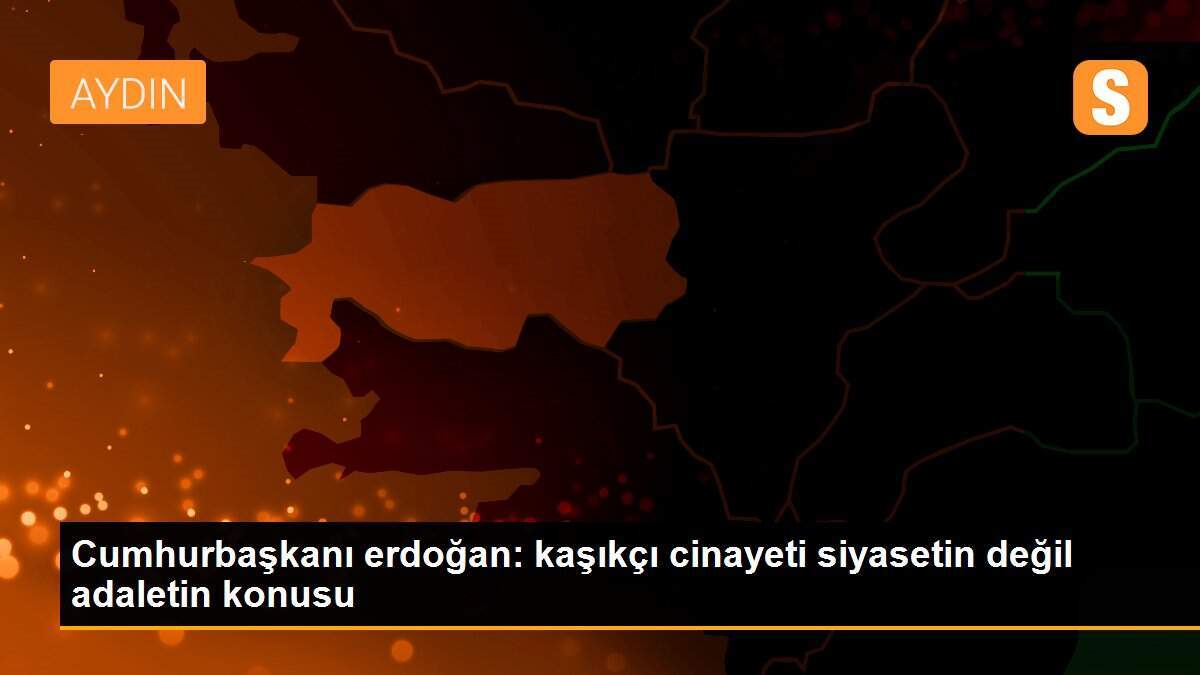Cumhurbaşkanı erdoğan: kaşıkçı cinayeti siyasetin değil adaletin konusu