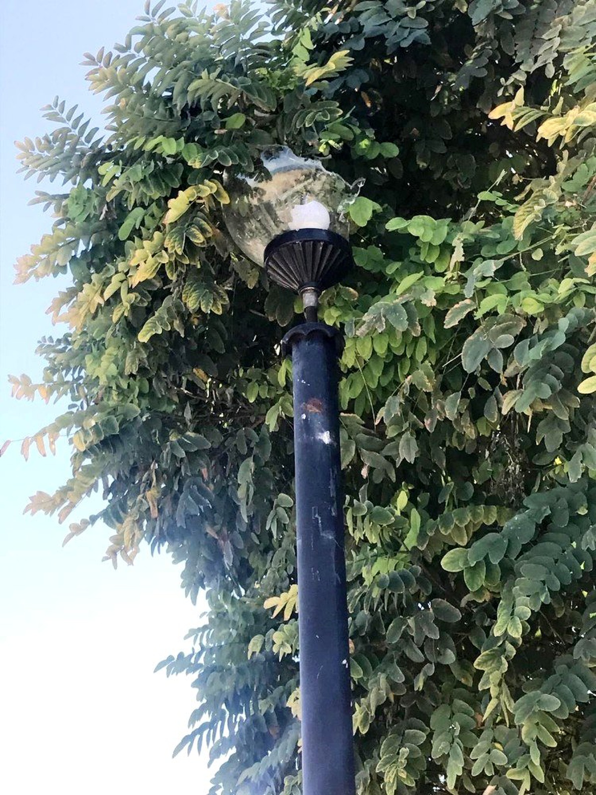 Edremit\'te şehidin adının verildiği park tahrip edildi