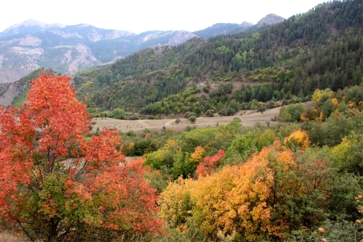 Erzurum\'un köyleri sonbaharda görenleri hayran bırakıyor