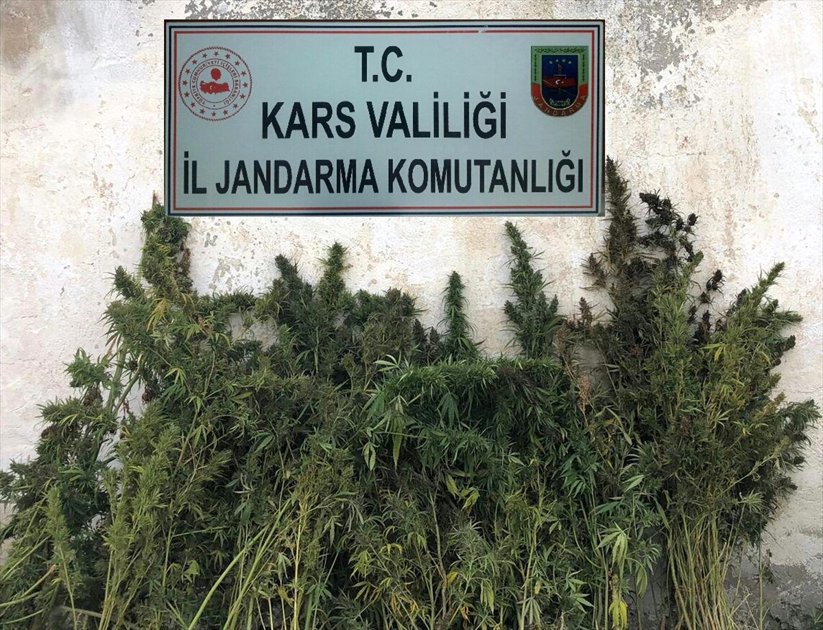 Kars\'ta uyuşturucu operasyonu