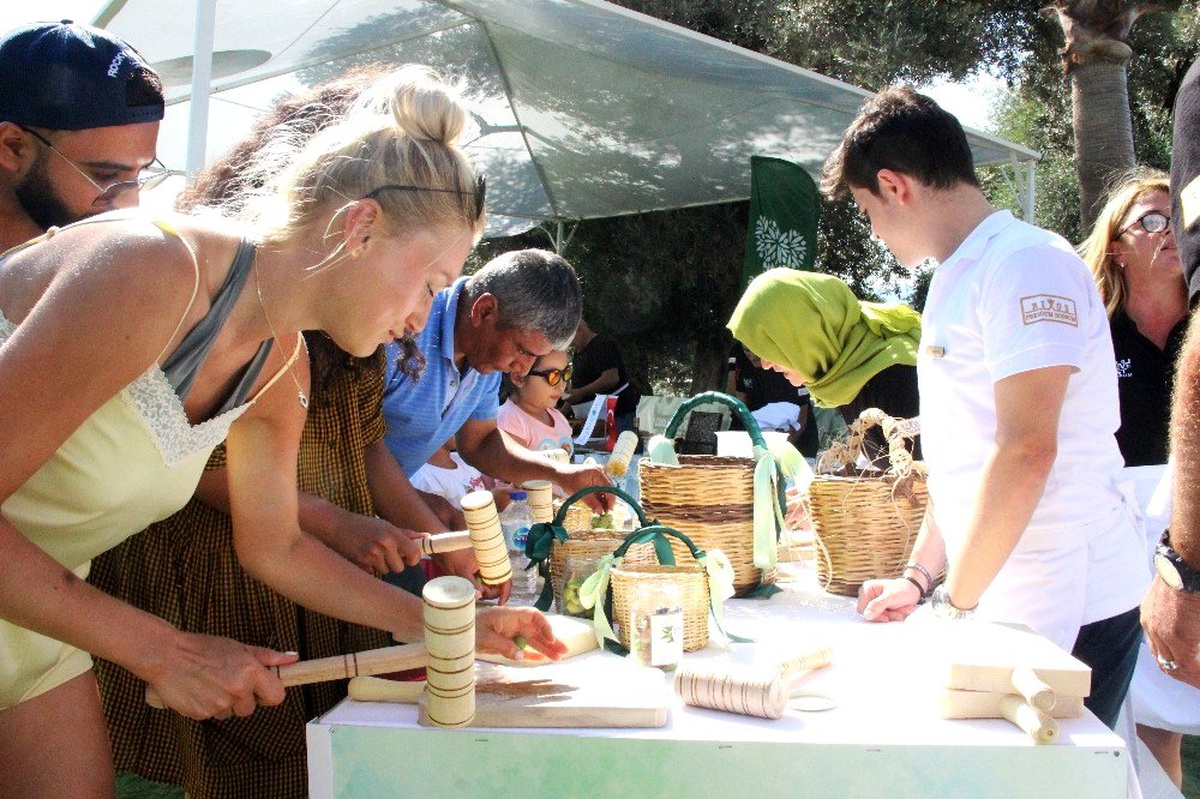 Tatile gelen turistler denizden çıkıp 500 yıllık ağaçlardan zeytin topladı