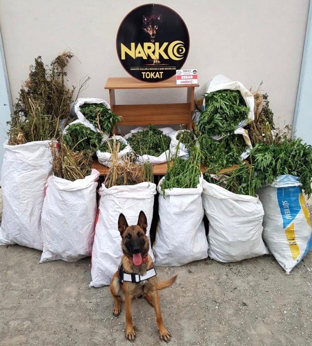 Tokat\'ta, 92 kilo 900 gram esrar ele geçirildi