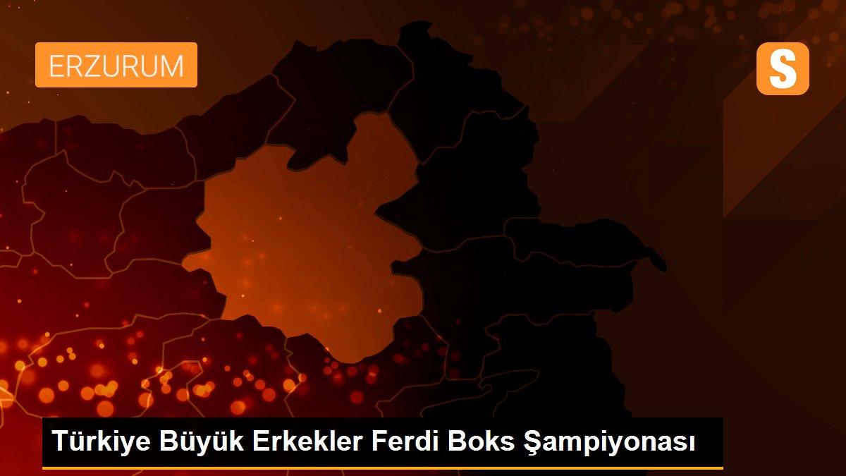 Türkiye Büyük Erkekler Ferdi Boks Şampiyonası