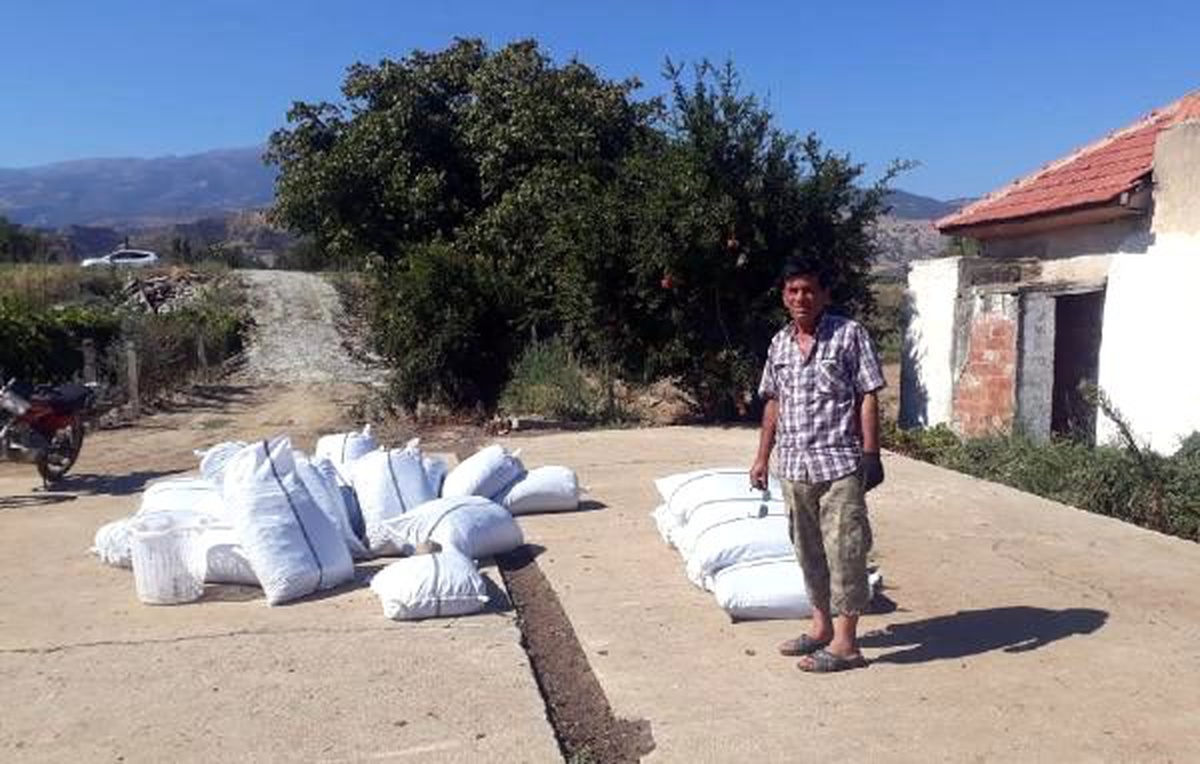 Uyuyakalınca 2 ton kuru üzümü çalındı