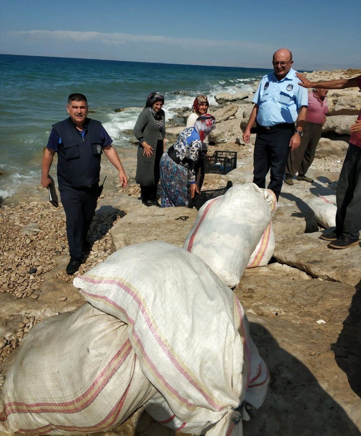 Van Gölü sahillerinde yün denetim