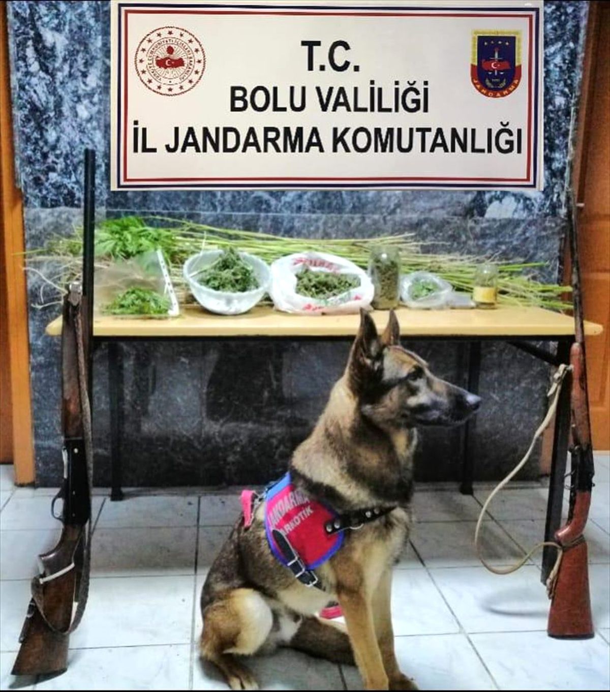 Bolu\'da uyuşturucu operasyonu