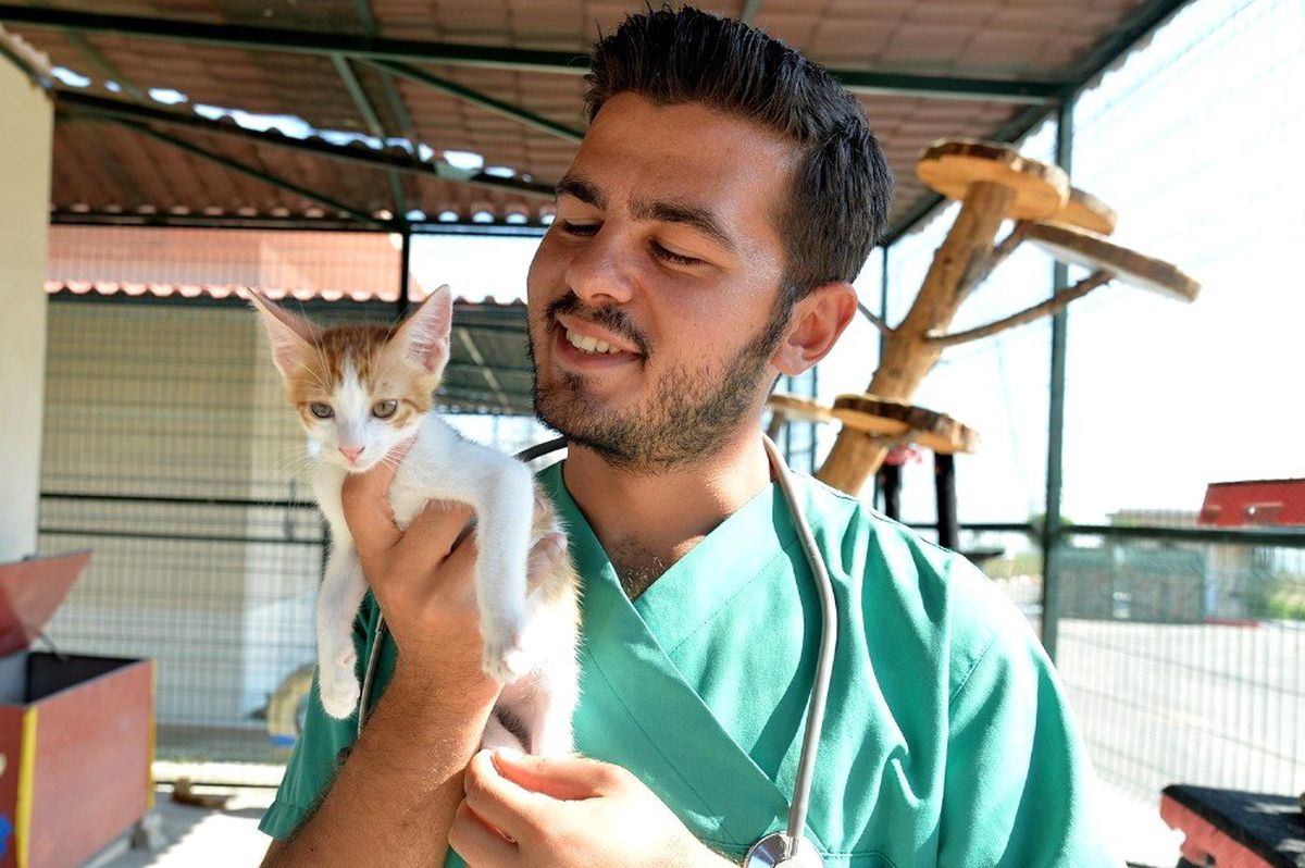 Büyükşehir veterinerlerinden hayvanseverlere uyarı