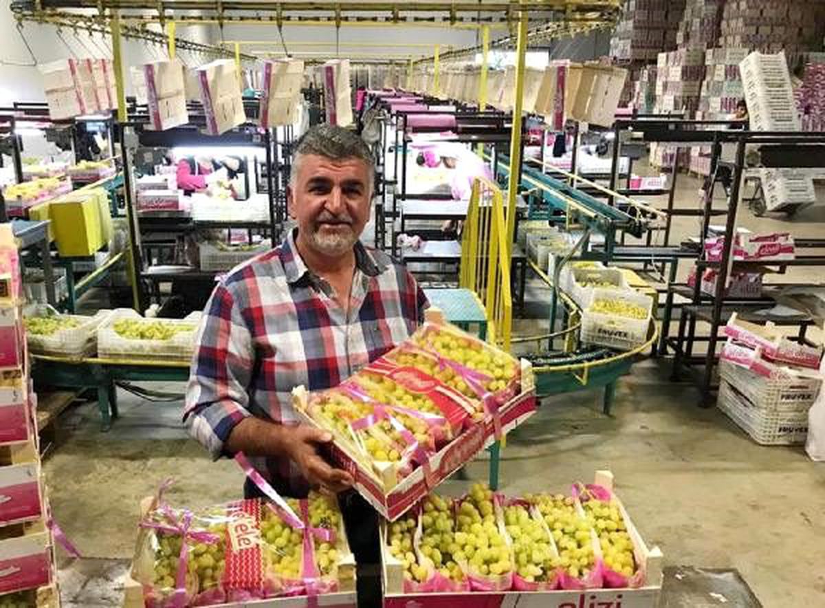 Denizlili üretici, markalarıyla avrupa\'ya yılda 10 bin ton ürün satıyor