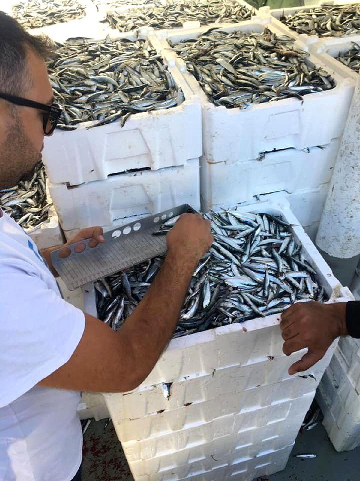 Didim\'de su ürünleri denetimleri devam ediyor