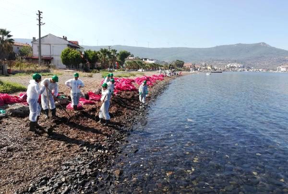 Foça\'da, denizde kirliliğe neden olan firmaya 144 bin lira ceza