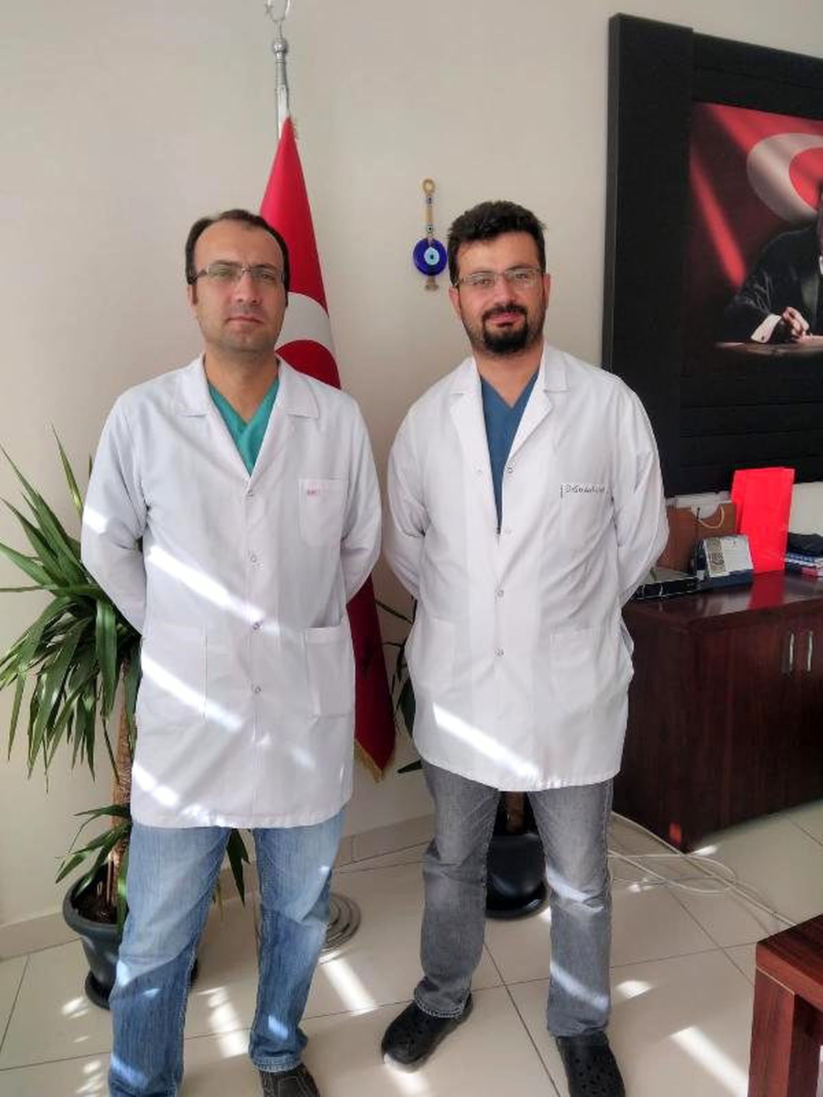 Kastamonu\'da bir ayda 50 kişi ceviz ağacından düşerek yaralandı