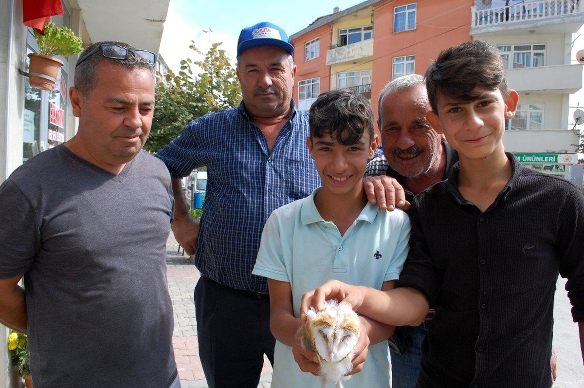 Malkaralı vatandaşlar yavru kuşu hayretle izledi