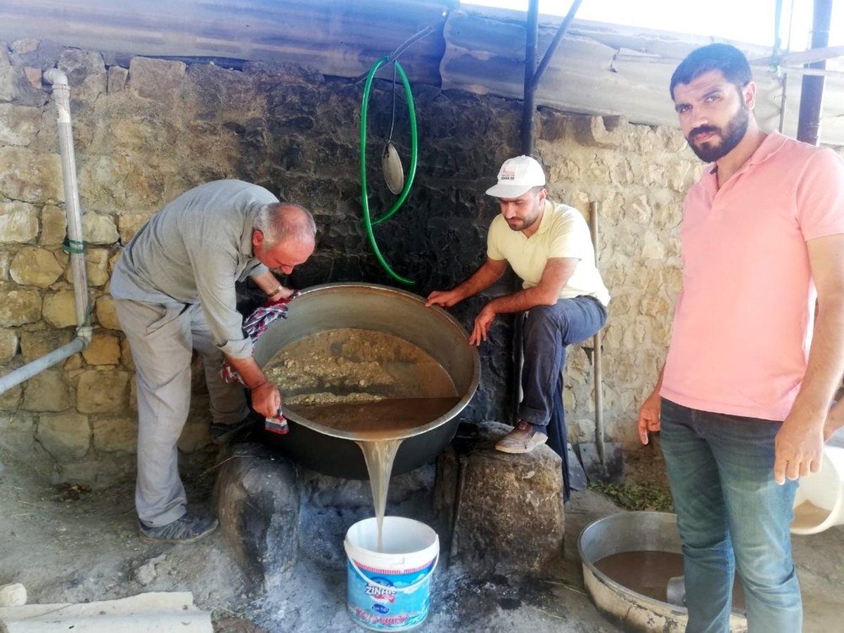Mardin üzümünün pekmez ve pestil yolculuğu başladı