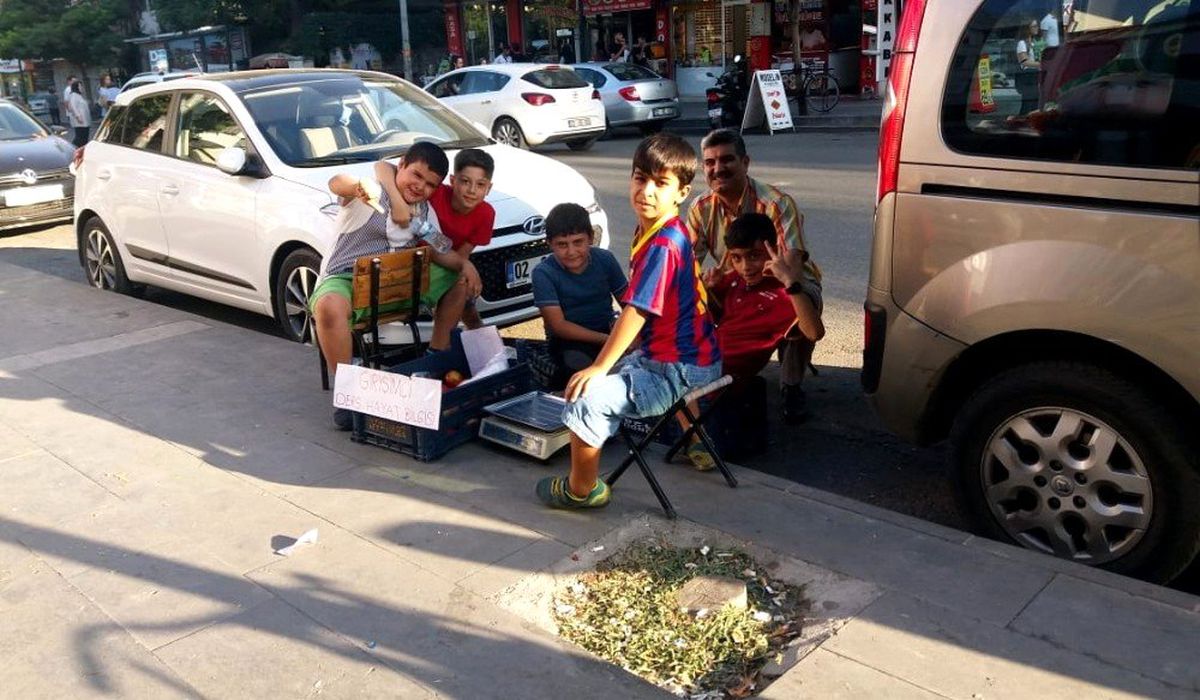 Öğrenciler girişimcilik dersinde domates sattı