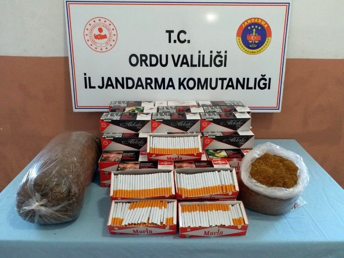Ordu\'da uyuşturucu operasyonu
