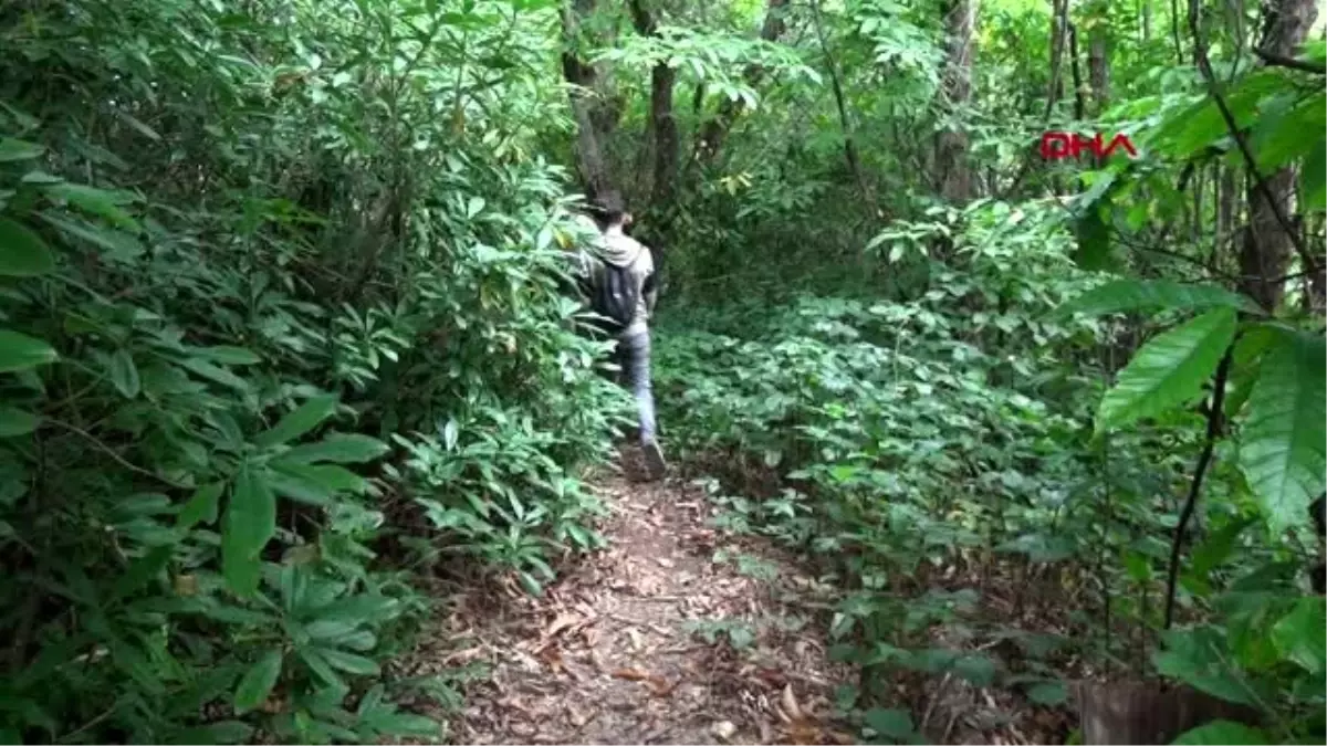 Rize nesilden nesile geçen atmaca tutkusu