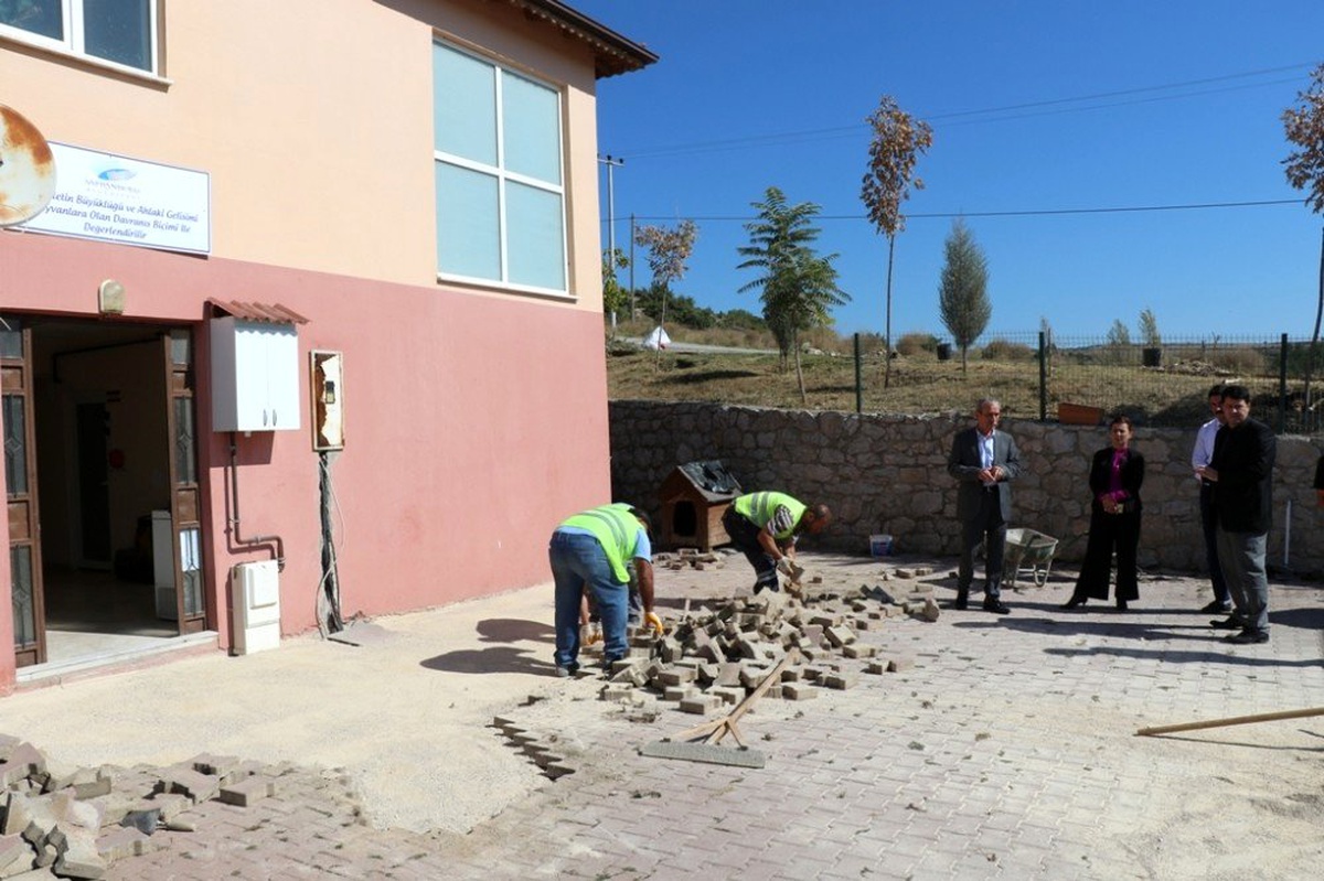 Safranbolu\'da hayvan barınağında tadilat