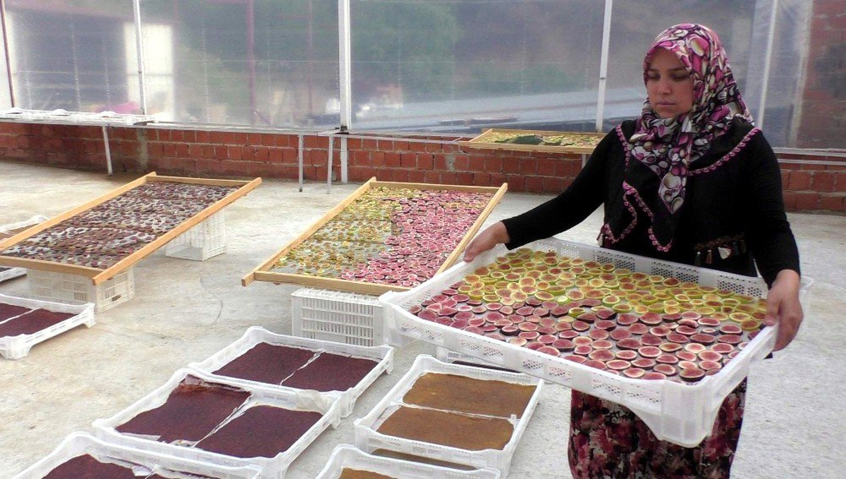 Taze incirden pestil ve cips yaparak ekmeklerini kazanıyorlar