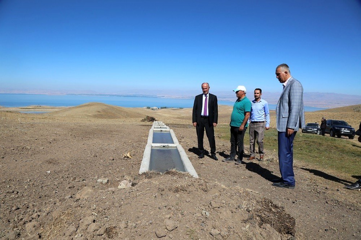 Tuşba Belediyesinden bölge hayvancılığına destek