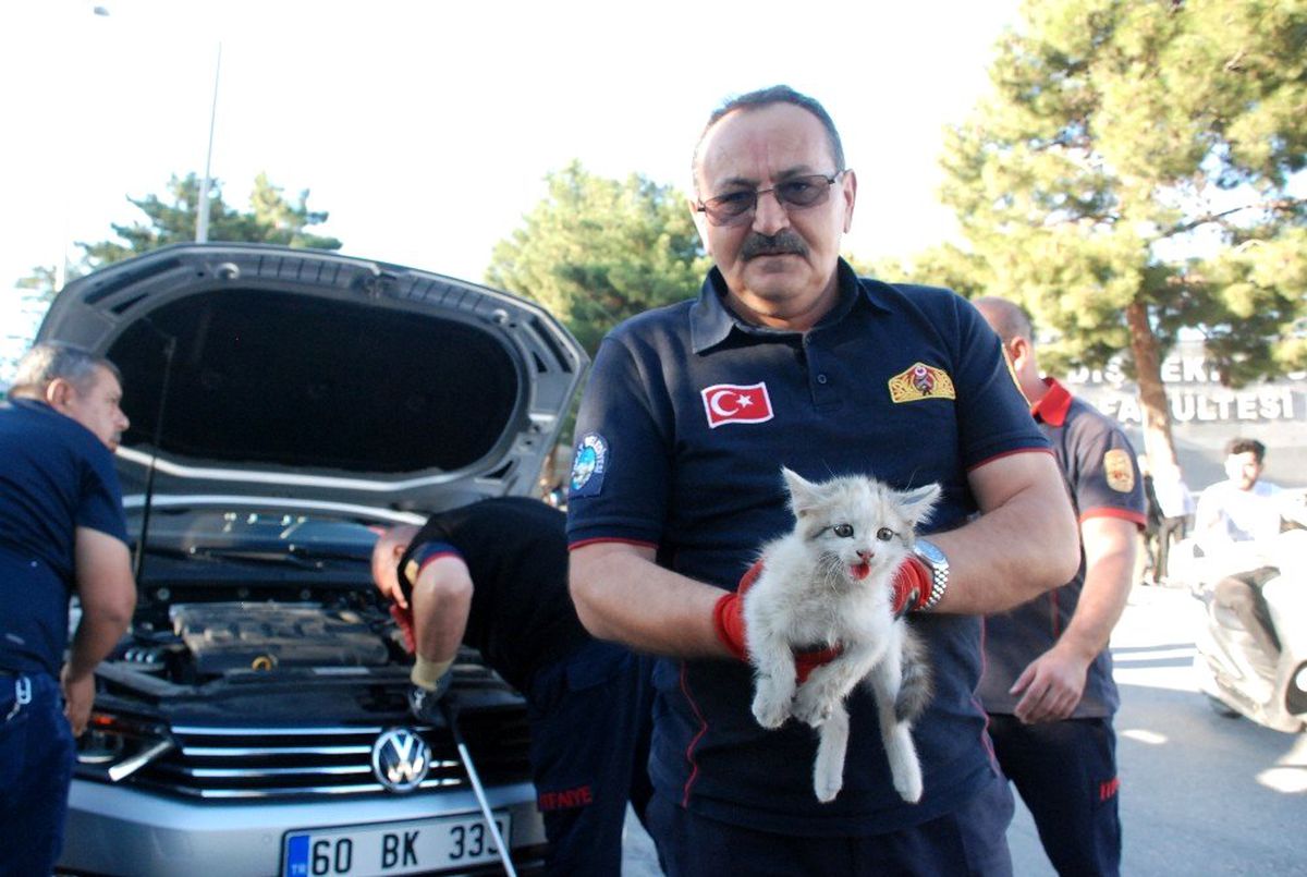 Yavru kediyi kurtarmak kolay olmadı