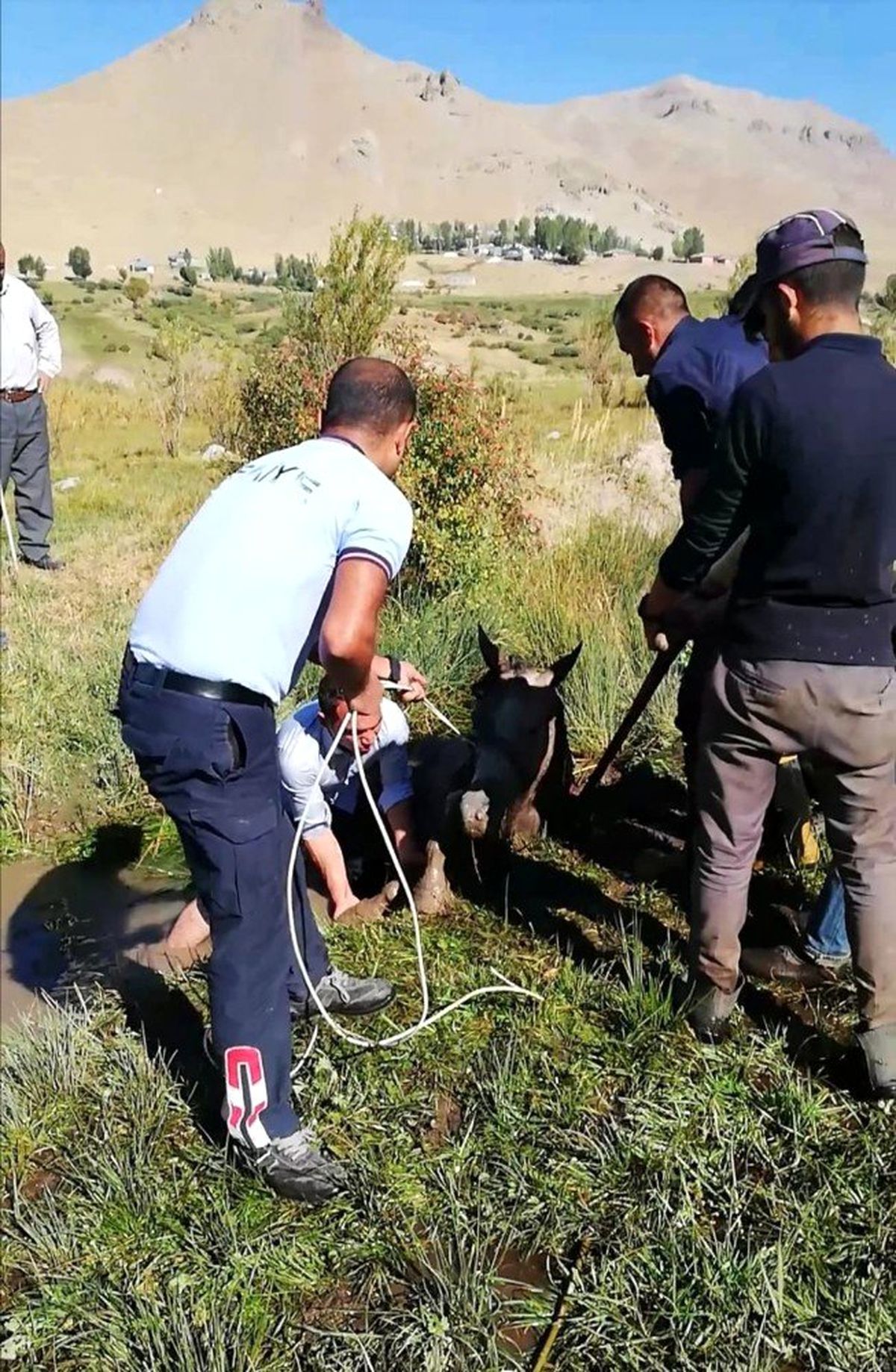 Bataklığa saplanan sahipsiz atı itfaiye kurtardı