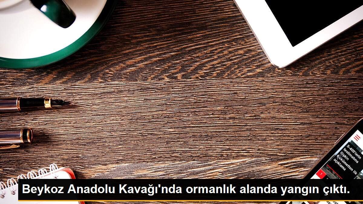 Beykoz Anadolu Kavağı\'nda ormanlık alanda yangın çıktı.