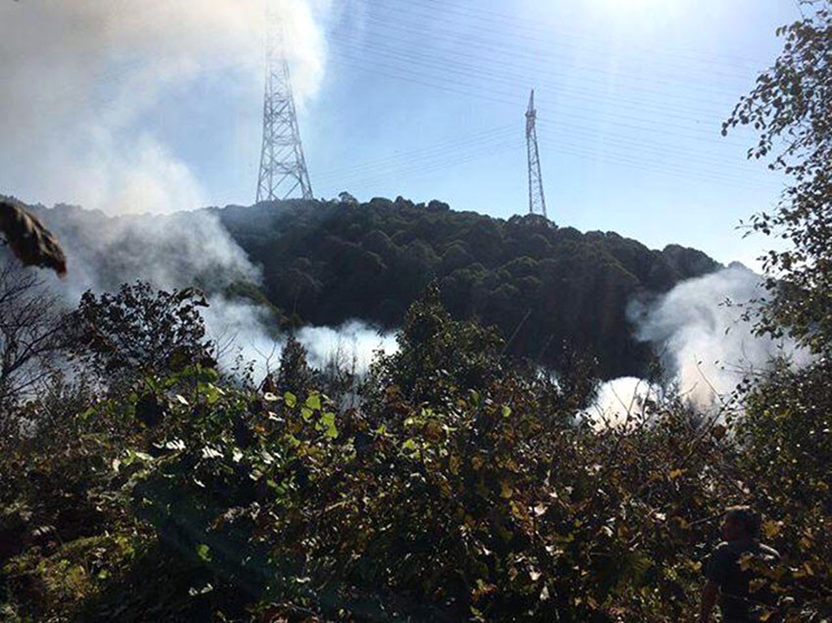 Beykoz Anadolu Kavağı\'nda ormanlık alanda yangın