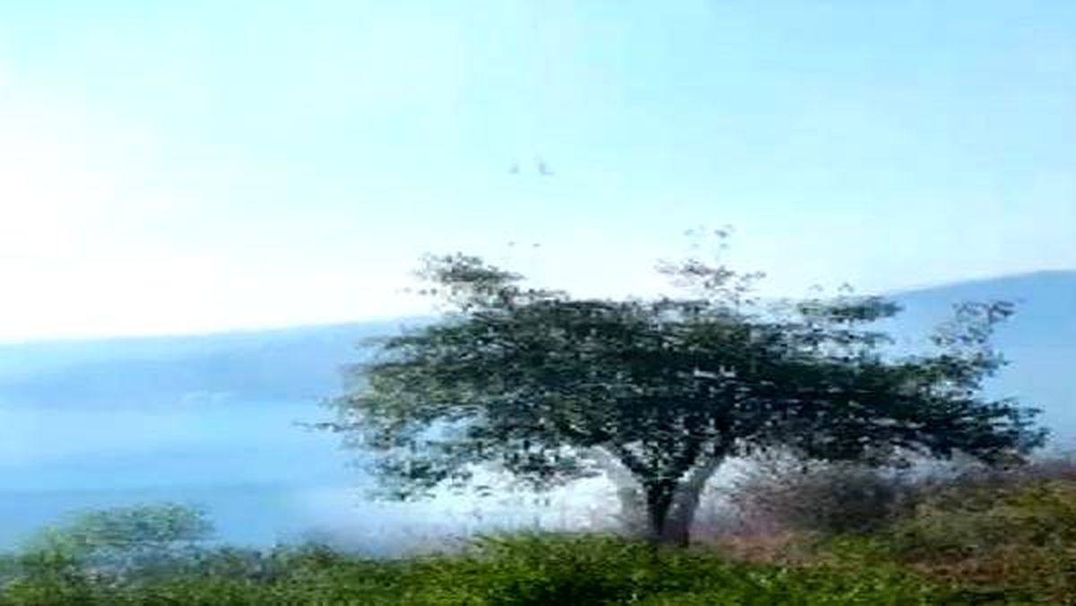 Beykoz\'da orman yangını (1)