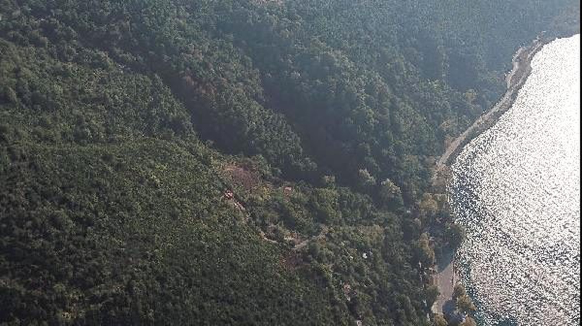Beykoz\'da orman yangınında kundaklama şüphesi