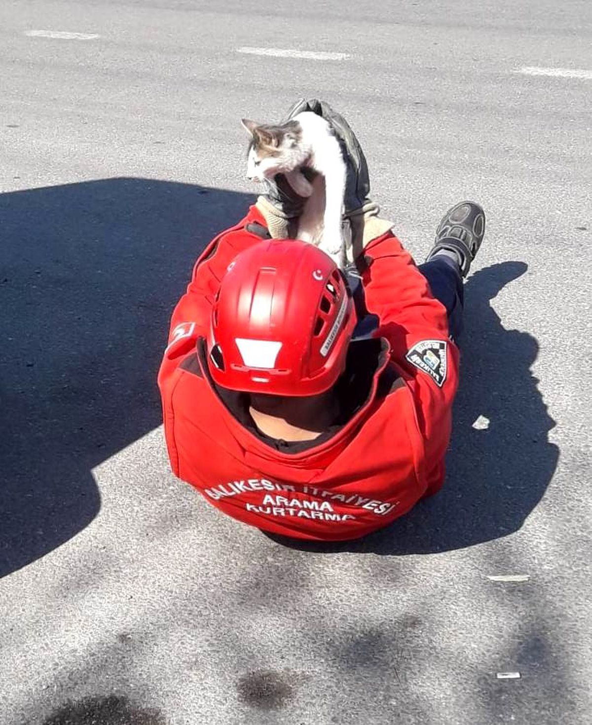 Burhaniye\'de itfaiyeden kedi kurtarma operasyonu