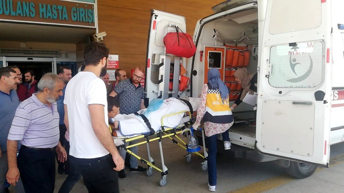 Ceviz ağacından düştü