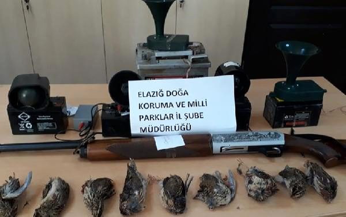 Elazığ\'da kaçak avlanan 6 kişi yakalandı