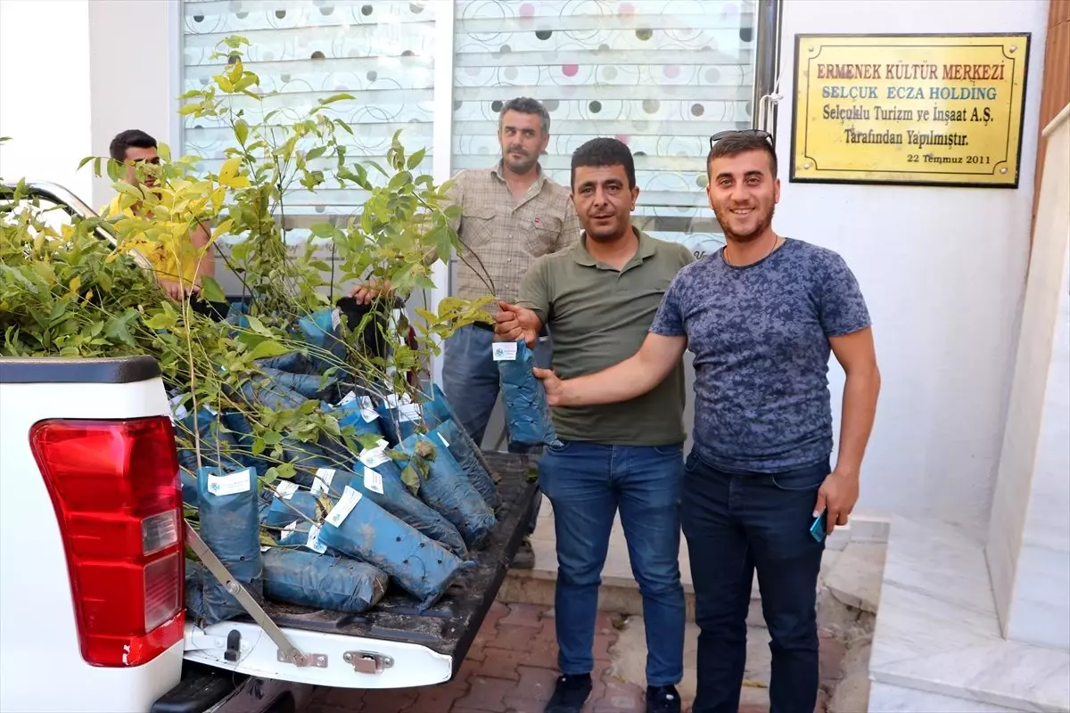 Ermenek Ceviz Çalıştayı düzenlendi