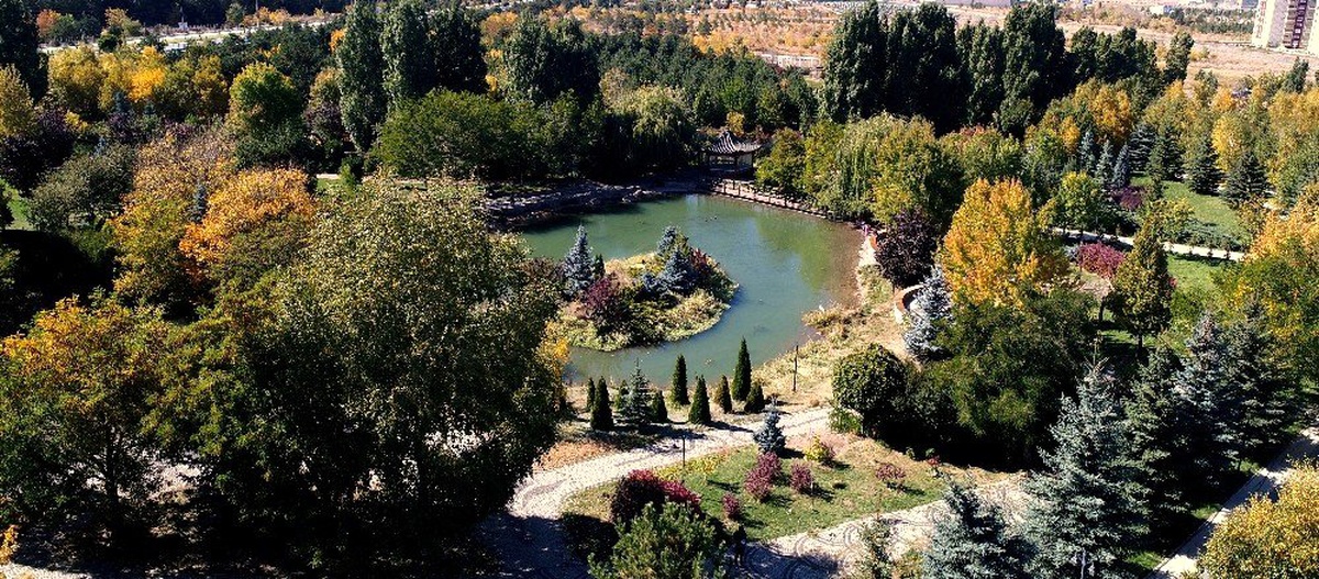 Erzurum\'da sonbaharın eşsiz manzarası büyülüyor