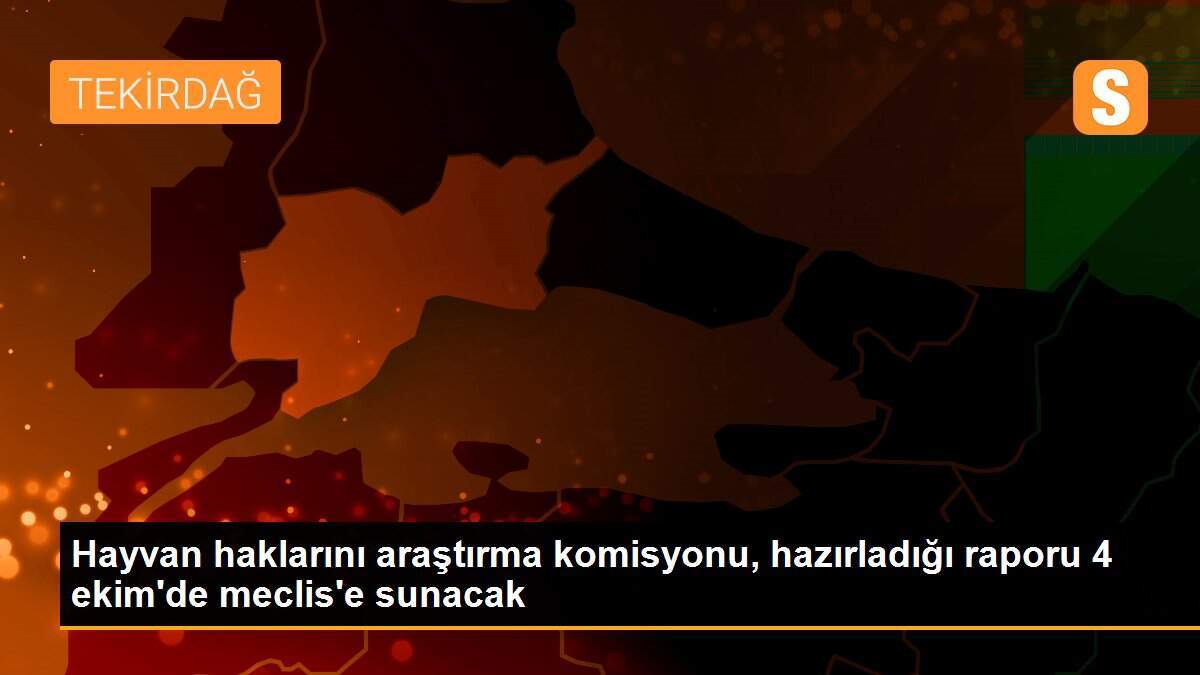Hayvan haklarını araştırma komisyonu, hazırladığı raporu 4 ekim\'de meclis\'e sunacak