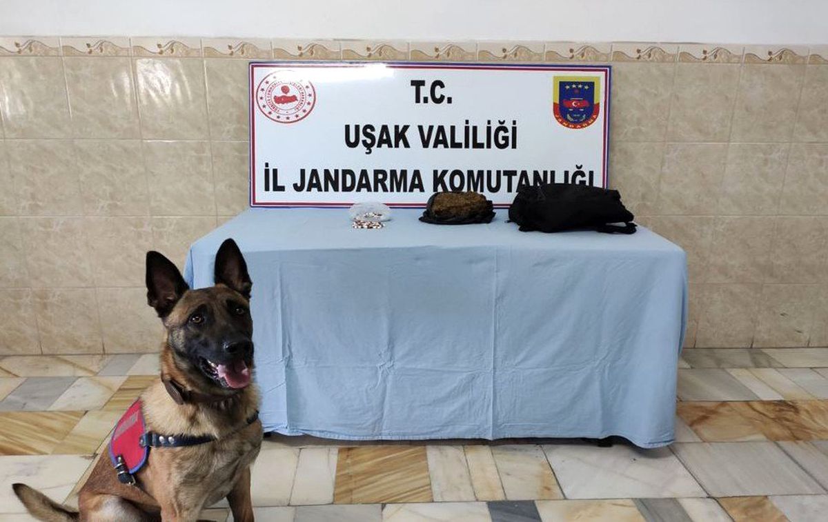 Jandarma otobüste uyuşturucu ele geçirdi