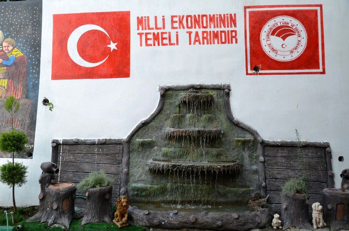Kamu binası botanik bahçeye çevrildi